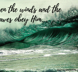 Jesus Speaks Calm to the Wind and the Waves